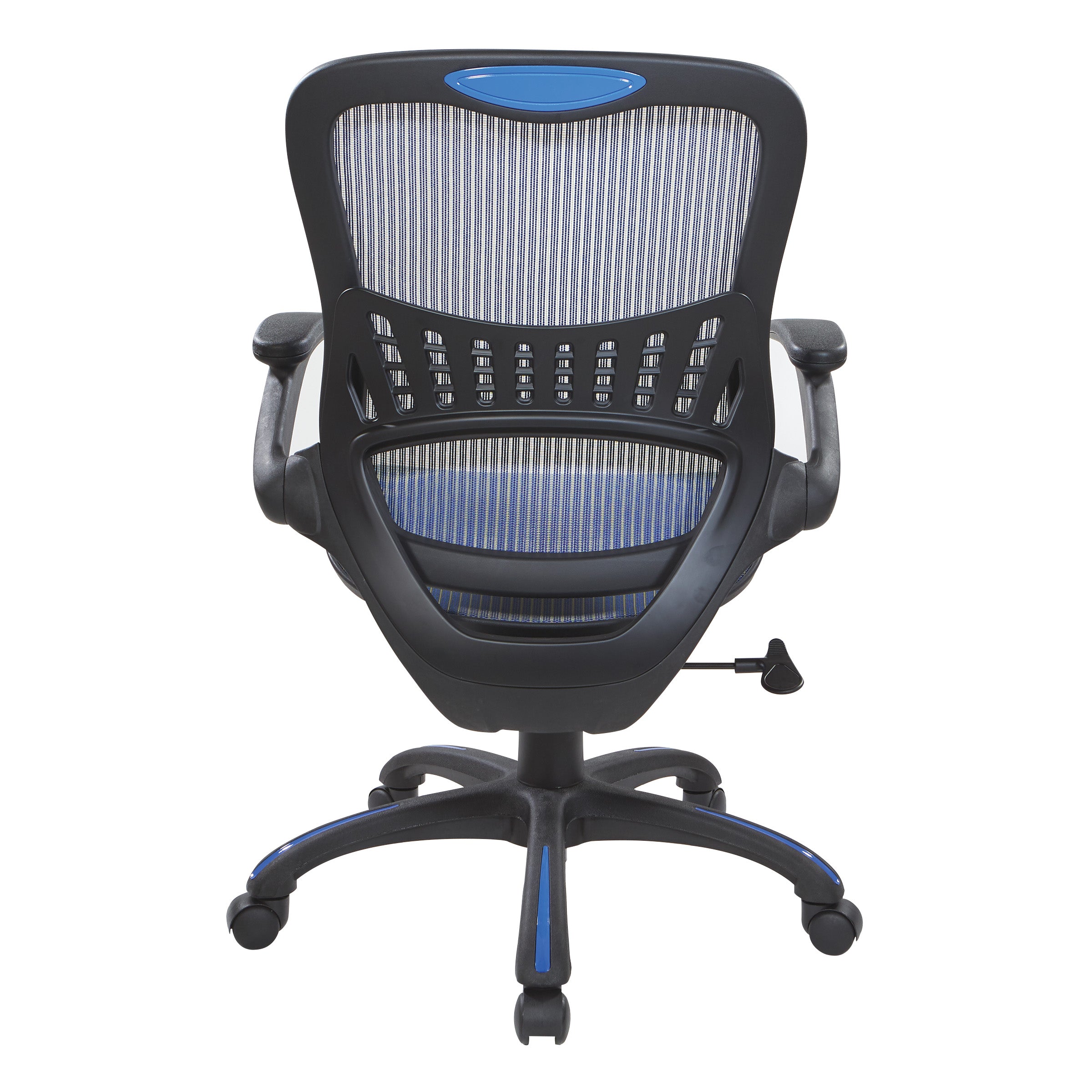 Mesh Seat and Back Manager’s Chair